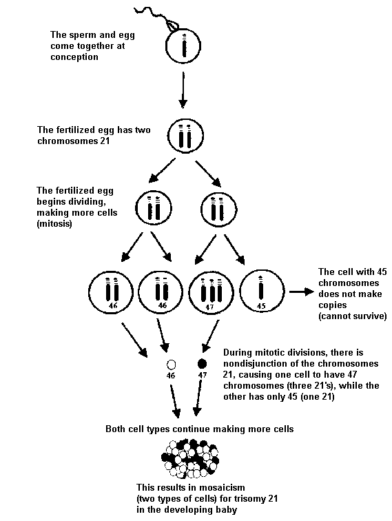 Mosaicism arising from nondisjunction after conception